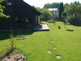 Visoriuose, ramioje vietoje, gamtos apsuptyje - nuotraukos Nr. 5