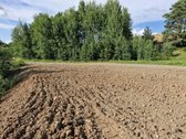 Parduodamas 50.74 arų žemės sklypas, - nuotraukos Nr. 4