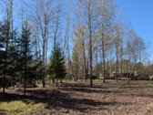 Parduodamas 12 arų sodų paskirties sklypas - nuotraukos Nr. 2
