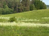 Pavargote Nuo Buto Ir Triukšmo? Laikas Savam - nuotraukos Nr. 5