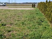 Parduodamas tvarkingas 6 arų sklypas soduose. - nuotraukos Nr. 3