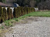 Parduodamas tvarkingas 6 arų sklypas soduose. - nuotraukos Nr. 4