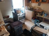Parduodamas sodo namas su 11,99 a sklypu - nuotraukos Nr. 3