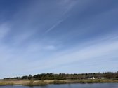 Trakų raj., Bijūnų km. parduodamas 302 arų - nuotraukos Nr. 2