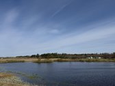 Trakų raj., Bijūnų km. parduodamas 302 arų - nuotraukos Nr. 3