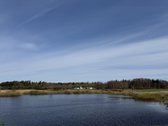 Trakų raj., Bijūnų km. parduodamas 302 arų