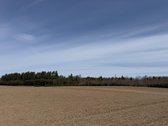 Trakų raj., Bijūnų km. parduodamas 302 arų - nuotraukos Nr. 6
