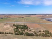 Parduodamas Sklypas Su Brandžiomis Pušimis.  - nuotraukos Nr. 12