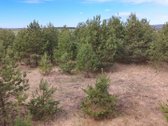 Parduodamas Sklypas Su Brandžiomis Pušimis.  - nuotraukos Nr. 17
