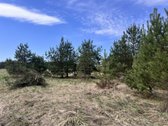 Parduodamas Sklypas Su Brandžiomis Pušimis.  - nuotraukos Nr. 26