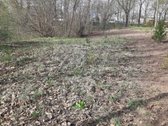 Parduodamas 23,03 arų namų valdos žemės - nuotraukos Nr. 4