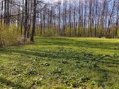 Parduodamas Žemės Sklypas Vilniaus Rajone
