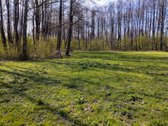 Parduodamas Žemės Sklypas Vilniaus Rajone - nuotraukos Nr. 4