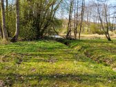 Parduodamas Žemės Sklypas Vilniaus Rajone - nuotraukos Nr. 6