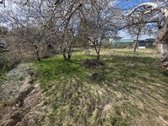 Vaizdingoje vietoje, netoli Žaliojo ežero - nuotraukos Nr. 17