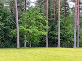 Parduodamas žemės sklypas Nemenčinės pl. 224b - nuotraukos Nr. 2
