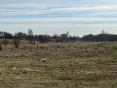 Parduodamas 0.953 ha žemės ūkio paskirties - nuotraukos Nr. 3