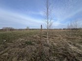 Parduodamas 0.953 ha žemės ūkio paskirties - nuotraukos Nr. 10