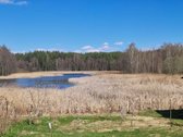 Parduodamas namų valdos sklypas Ignalinos raj - nuotraukos Nr. 38