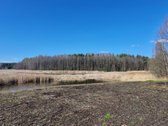 Parduodamas namų valdos sklypas Ignalinos raj - nuotraukos Nr. 17