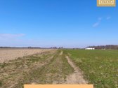 Kai gauni pinigų ir galvoji kur dėti  - nuotraukos Nr. 2