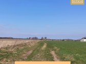 Kai gauni pinigų ir galvoji kur dėti  - nuotraukos Nr. 3
