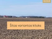 Kai gauni pinigų ir galvoji kur dėti  - nuotraukos Nr. 5