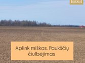 Kai gauni pinigų ir galvoji kur dėti  - nuotraukos Nr. 6