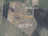 Vilniaus rajone, Maišiagaloje, šalia senojo - nuotraukos Nr. 3