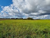 Derlingas Žū pask. sklypas 1,1 ha - nuotraukos Nr. 10