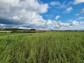 Derlingas Žū pask. sklypas 1,1 ha - nuotraukos Nr. 11