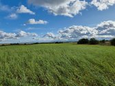 Derlingas Žū pask. sklypas 1,1 ha - nuotraukos Nr. 12