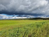 Derlingas Žū pask. sklypas 1,1 ha - nuotraukos Nr. 13