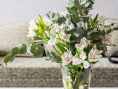 Parduodamas Erdvus Ir Funkcionalaus - nuotraukos Nr. 5
