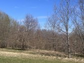 Parduodami namų valdos sklypai nuostabioje - nuotraukos Nr. 7