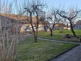 Parduodamas namas Antalgėje be baldų. - nuotraukos Nr. 2