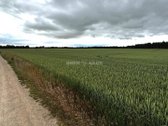 Parduodamas 13,14 Ha Ploto Žemės Ūkio - nuotraukos Nr. 4