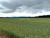 Parduodamas 13,14 Ha Ploto Žemės Ūkio - nuotraukos Nr. 5