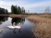 Parduodamas 0.953 ha žemės ūkio paskirties - nuotraukos Nr. 7