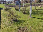 Parduodamas 6 arų sodo paskirties sklypas