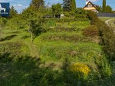 Fantastinis, nuostabus, gražus