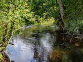 Prie upės Musė parduodamas besiribojantis - nuotraukos Nr. 2