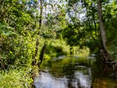 Prie upės Musė parduodamas besiribojantis - nuotraukos Nr. 3