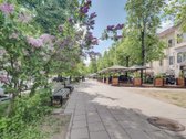 Vokiečių G., Senamiestyje Esančiame Medicinos - nuotraukos Nr. 15