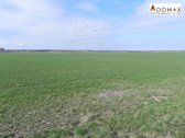 Parduodama žemės ūkio paskirties žemė - nuotraukos Nr. 2