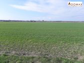 Parduodama žemės ūkio paskirties žemė - nuotraukos Nr. 3