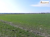 Parduodama žemės ūkio paskirties žemė - nuotraukos Nr. 4