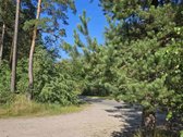 Parduodamas 4 ha., rekreacinės paskirties - nuotraukos Nr. 3