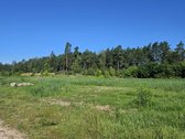 Parduodamas 4 ha., rekreacinės paskirties - nuotraukos Nr. 4