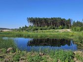 Parduodamas 4 ha., rekreacinės paskirties - nuotraukos Nr. 2